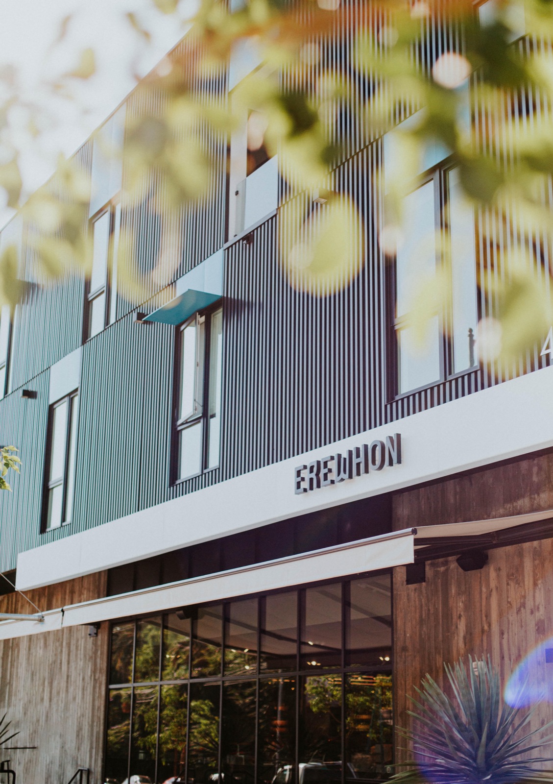 Erewhon case study