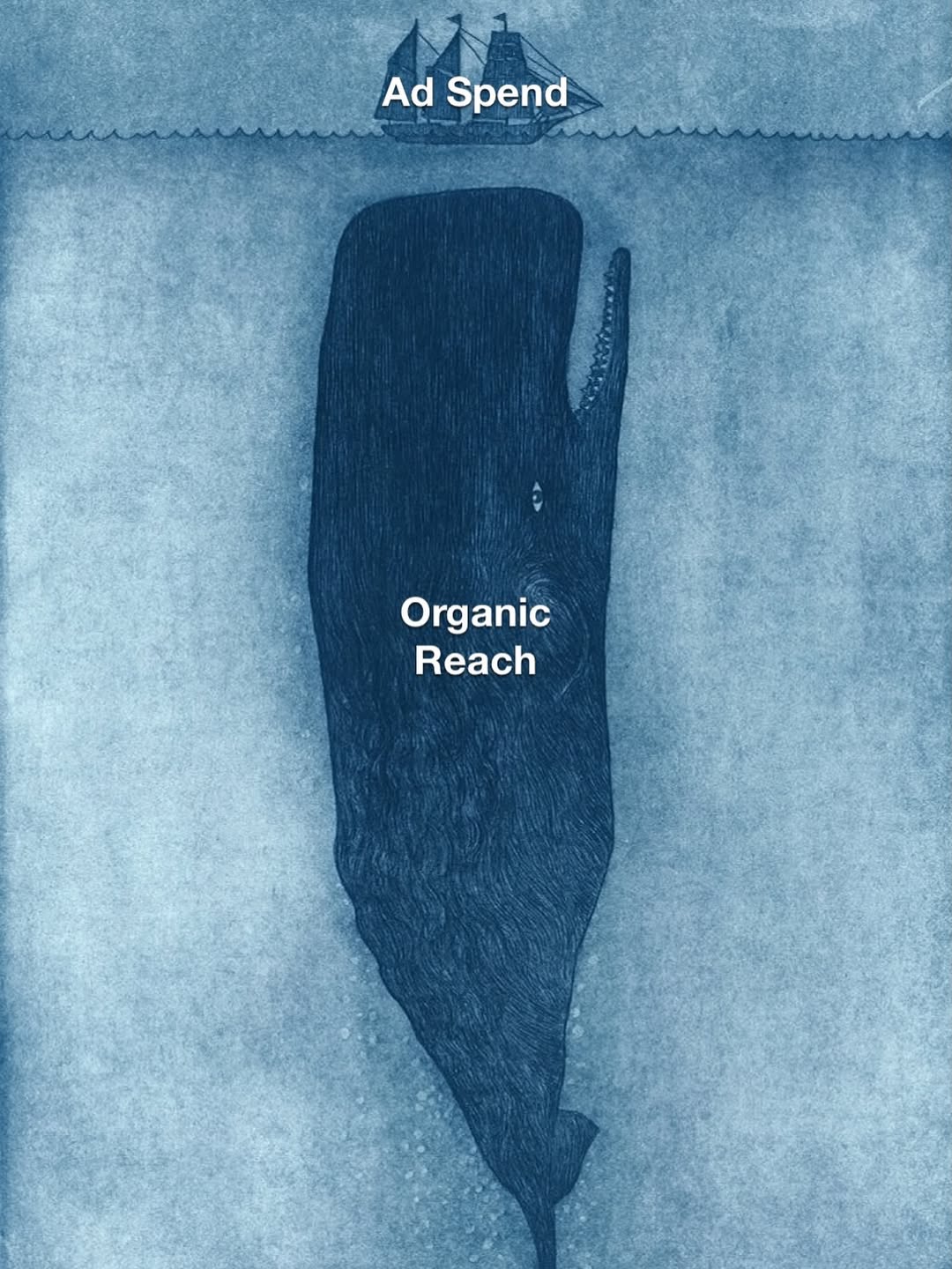 Building organic audience first